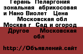 Герань( Пеларгония зональная) абрикосовая и Нано Виолет › Цена ­ 200 - Московская обл., Москва г. Сад и огород » Другое   . Московская обл.
